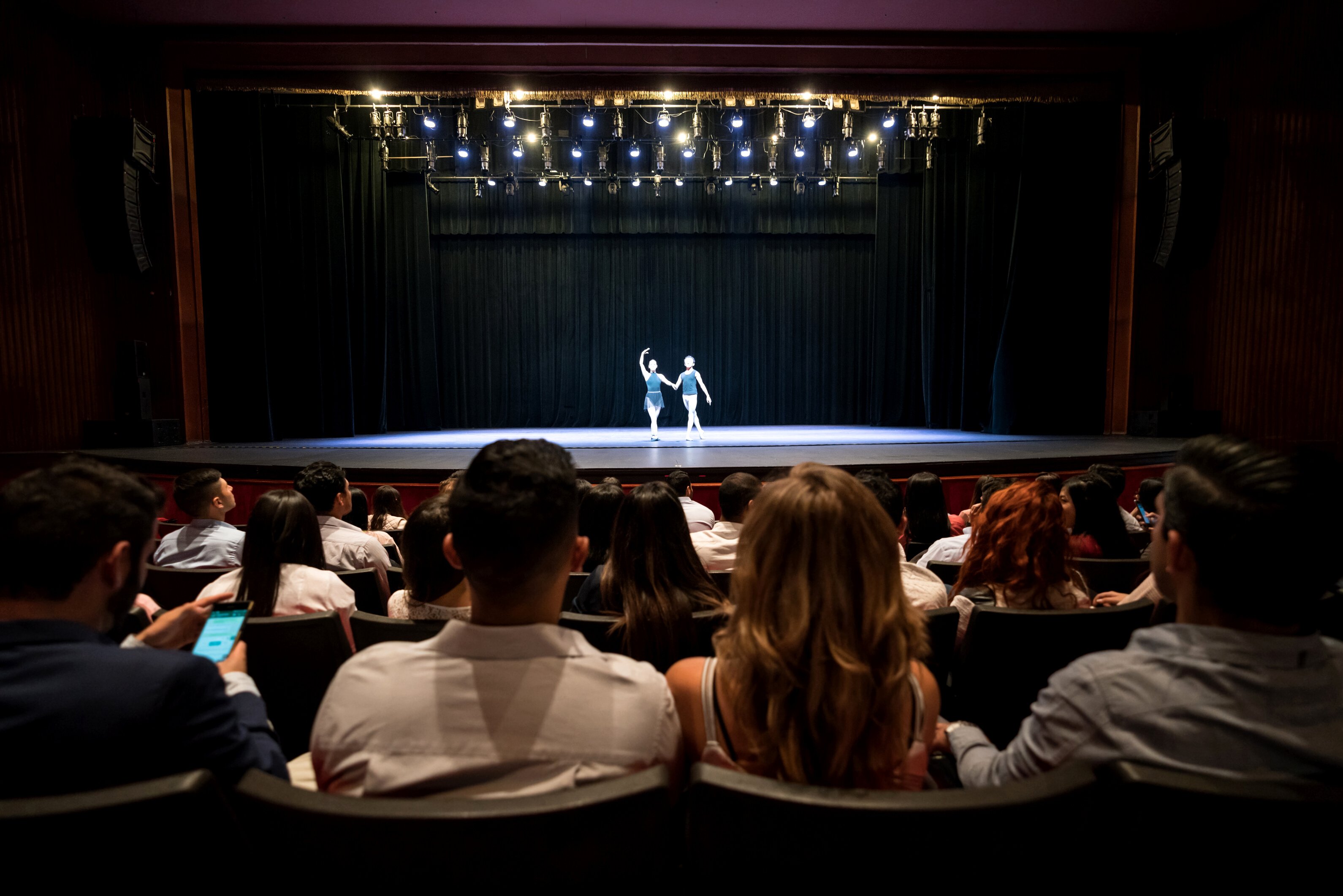 People at a theater looking at a dress rehearsal of ballet performing arts